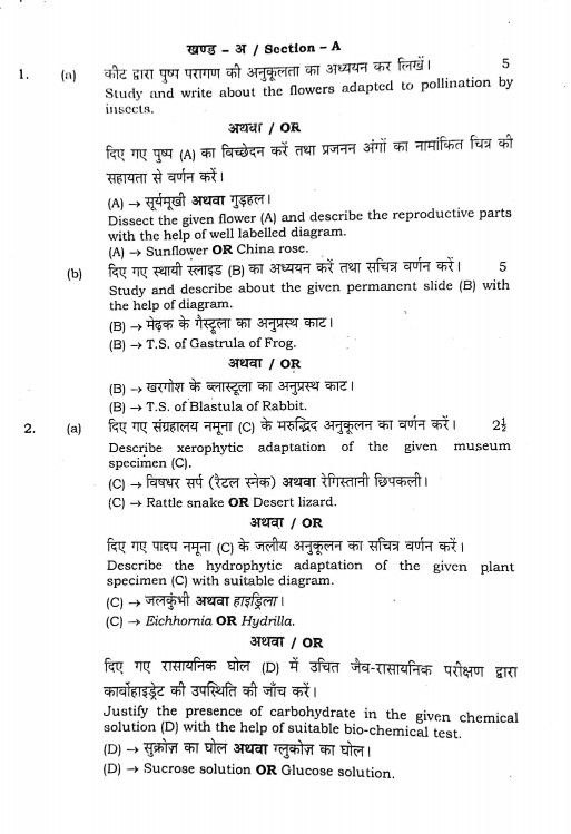 Bihar Board 12th Biology Pratical Question Answer 2023: आ गया बिहार बोर्ड कक्षा 12वीं का प्रैक्टिकल क्वेश्चन पेपर यहाँ से करें डाउनलोड