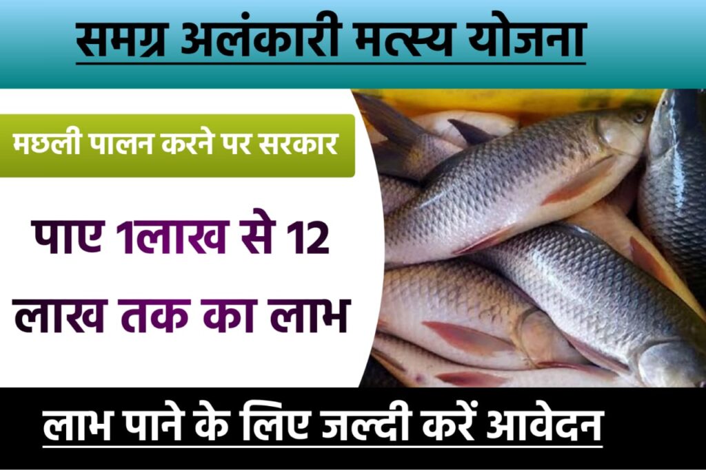 Samgra Alankari Matsyaki Yojana 2023: मछली पालन पर सरकार दे रही है, ₹12 लाख का लाभ यहाँ से करें आवेदन